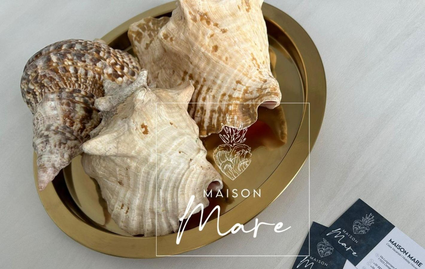 "Maison Mare" Fronte Spiaggia Ceriale Eksteriør billede
